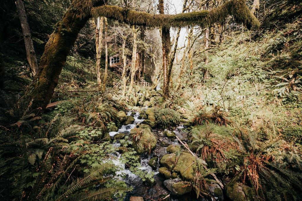 Taylor Creek Lodge Gold Beach Buitenkant foto