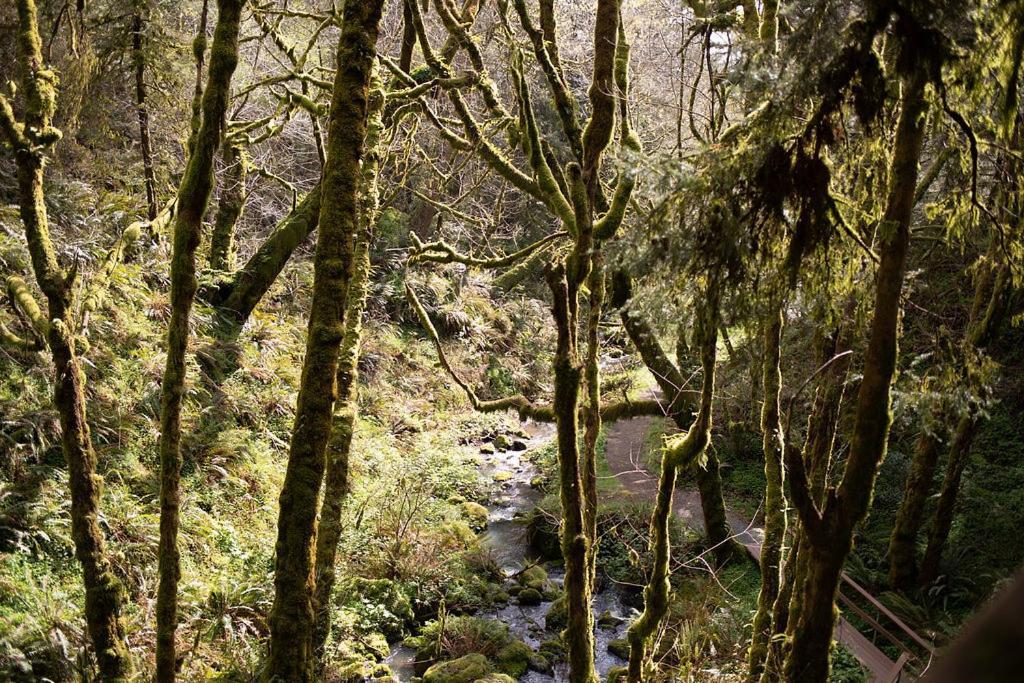 Taylor Creek Lodge Gold Beach Buitenkant foto